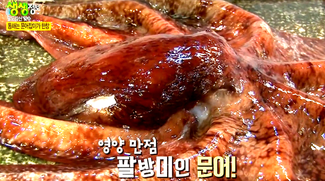 속초 삼순이